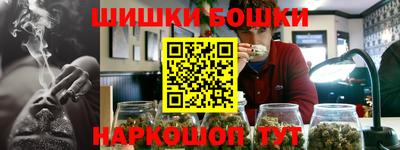 сатива Кингисепп