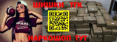 сатива Кингисепп