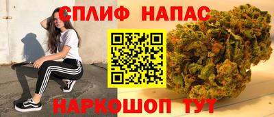сатива Кингисепп