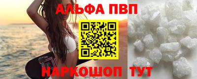 сатива Кингисепп