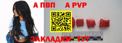 сатива Кингисепп