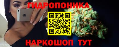 сатива Кингисепп