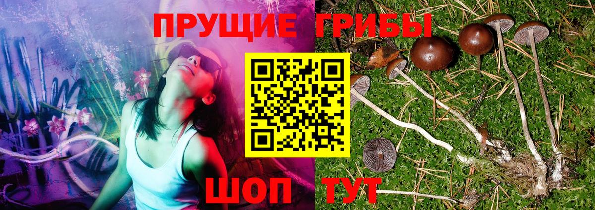 Галлюциногенные грибы прущие грибы  где найти   Котовск  Вход с VPN 