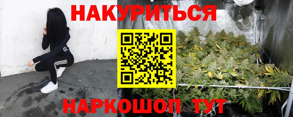 Бошки Шишки планчик Котовск